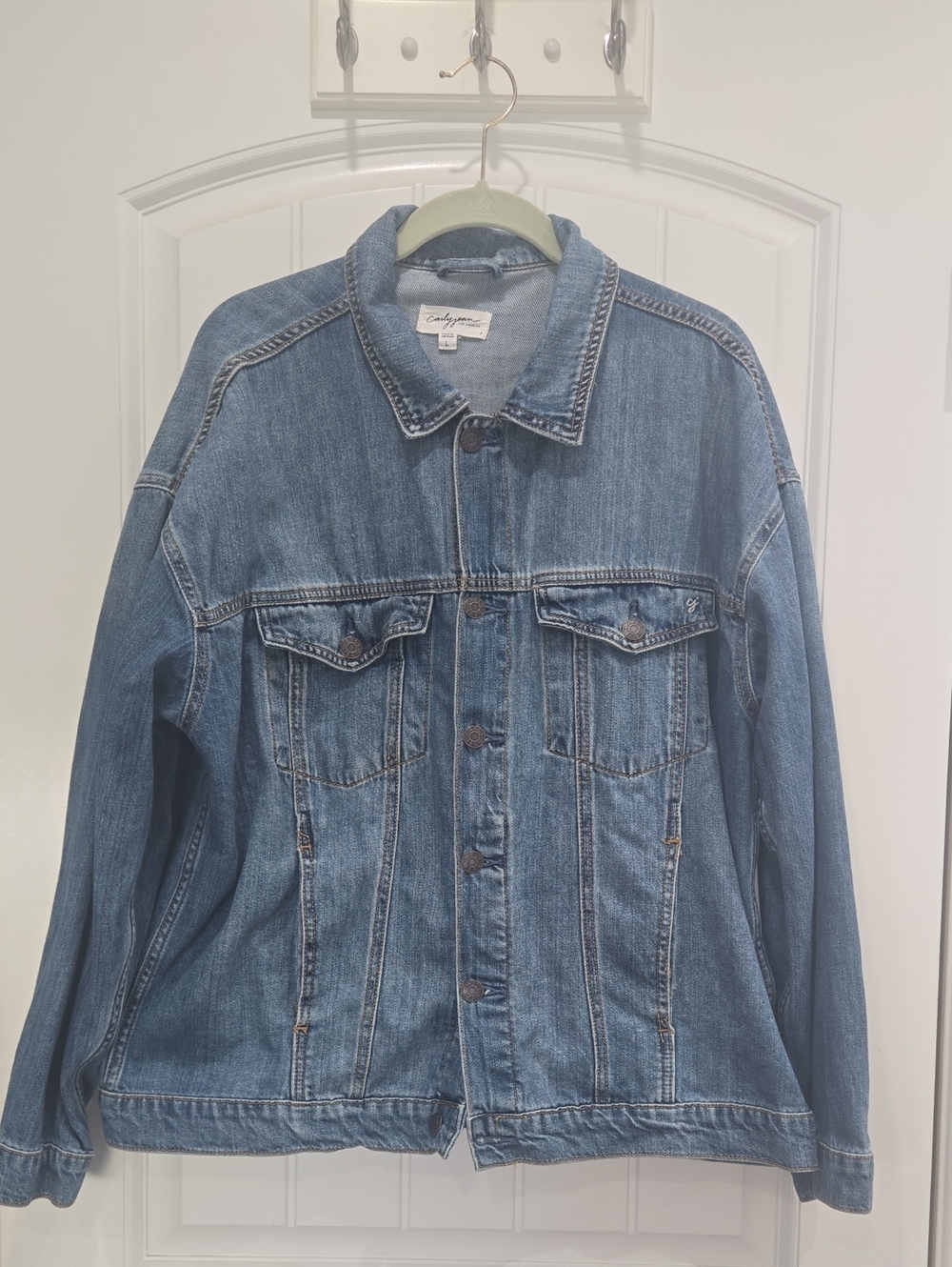 Carly Jean Los Angeles Distressed Denim Jacket